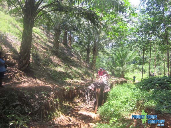 Khao Sok 3 Days 2 Night Tour